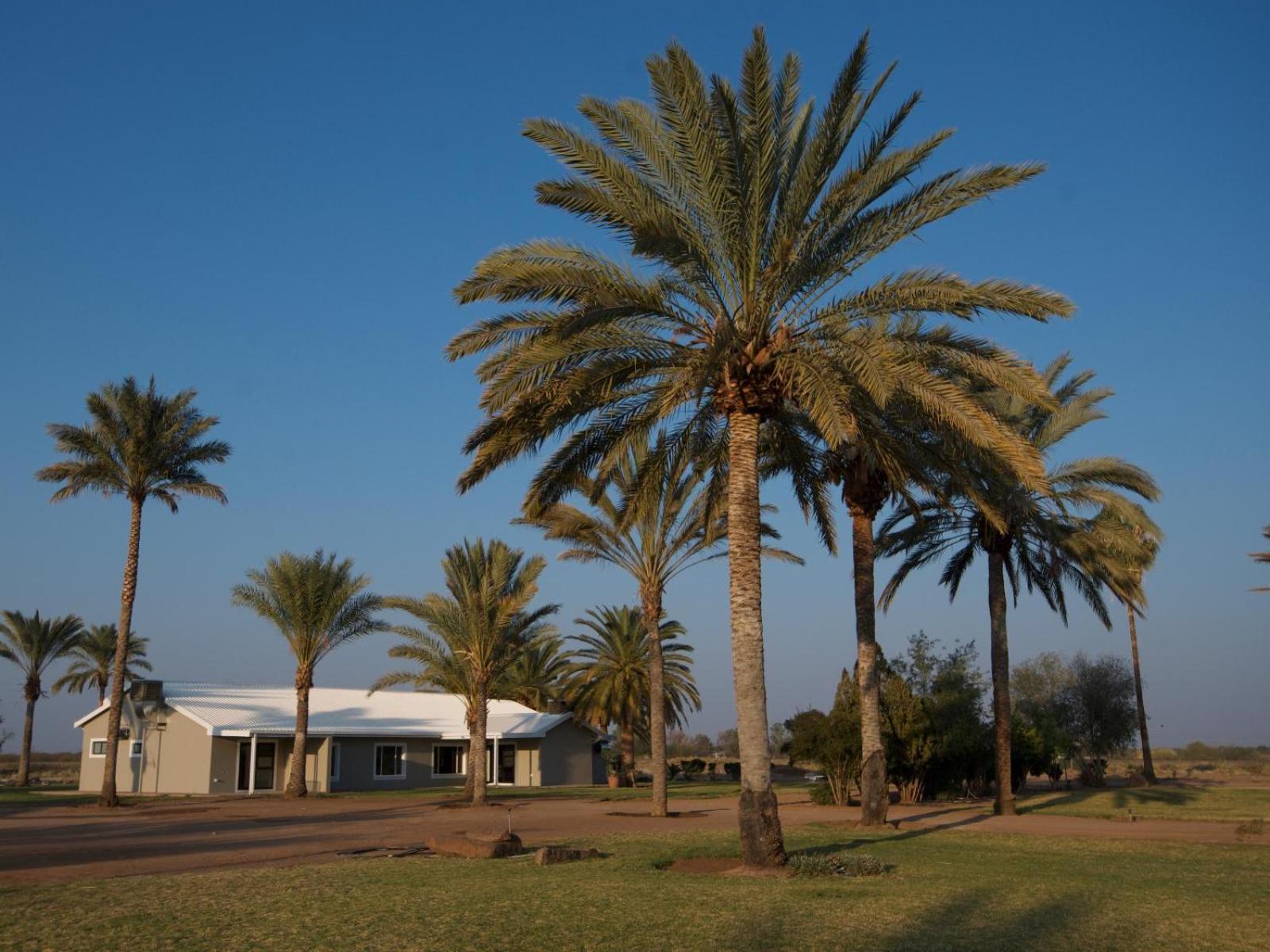 Flying Ostrich Guesthouse & Self-Catering Accommodation Mariental Exterior photo